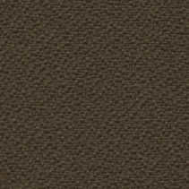 2093 Fossil