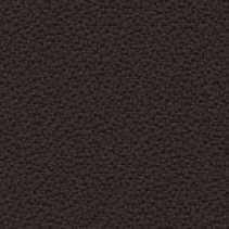 2083 Coffee Bean