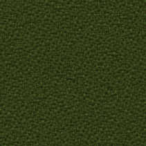 2840 Fern