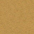 Camel MS [+$6.00]