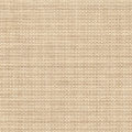 Cream GM [+$13.70]